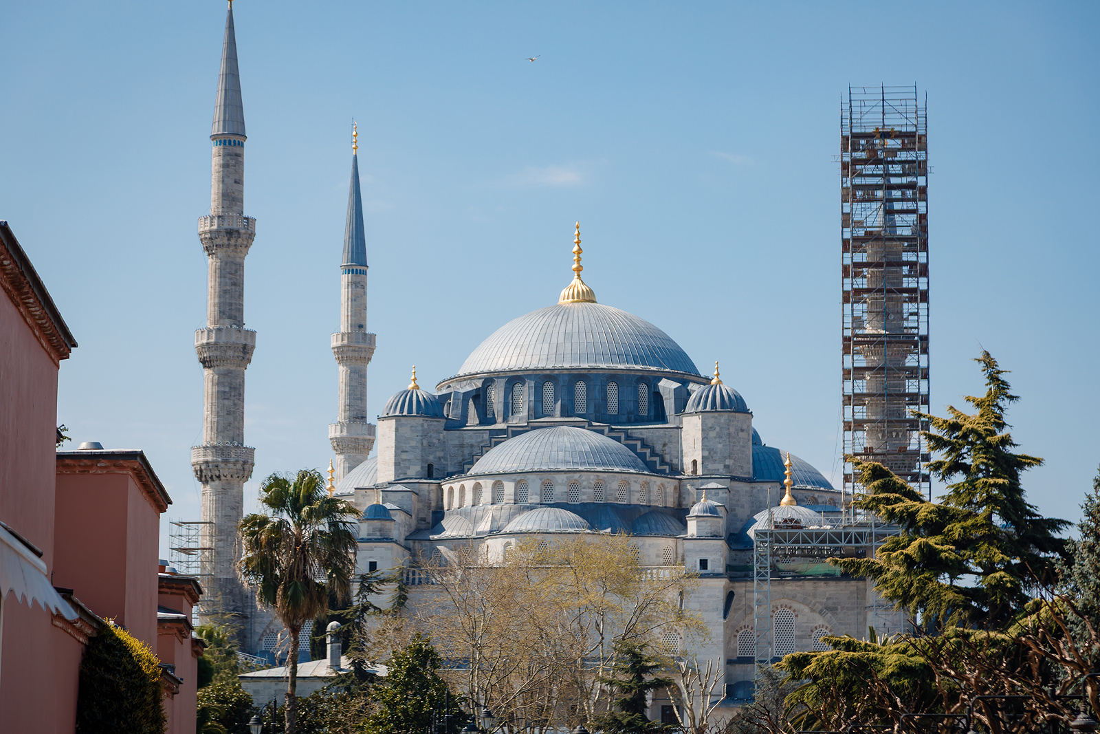 Cruise_zhara_astoria_may25_itog_Astor (3)_Монтажная область 1 копия 17 copy 2.png